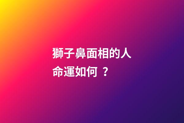 獅子鼻面相的人命運如何？